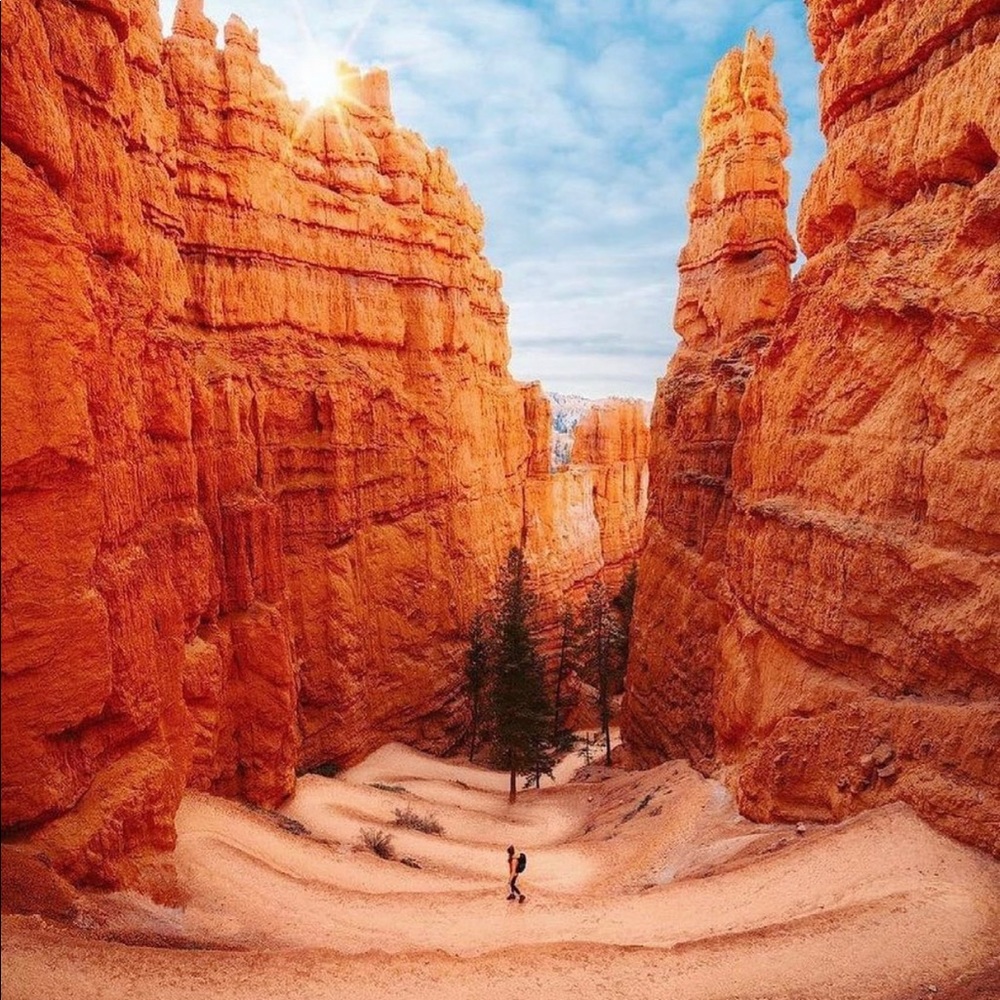 Meet your Posher, Anshita